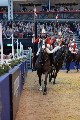 Cavalry - 00188